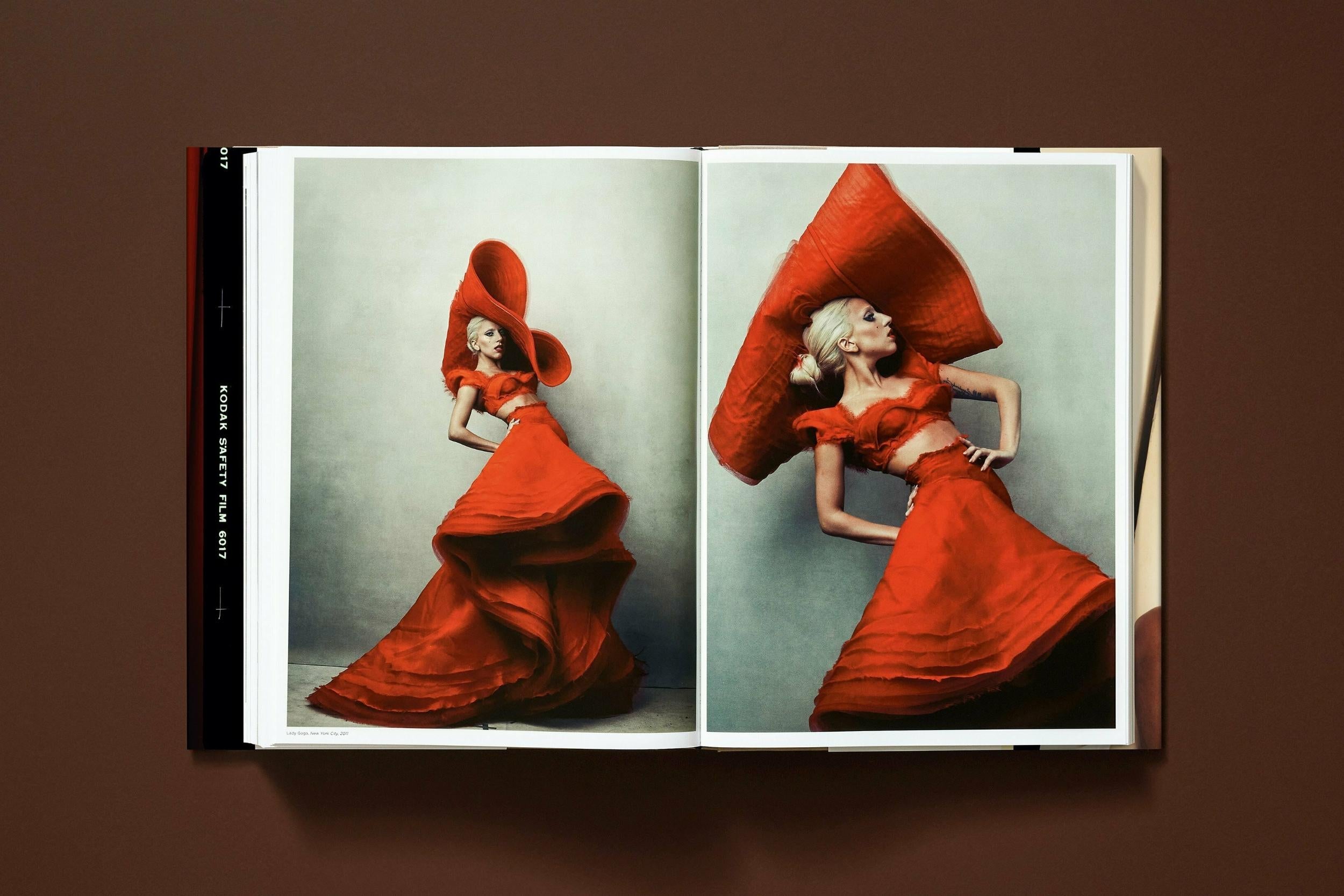 Annie Leibovitz (English) - grainoverpixel