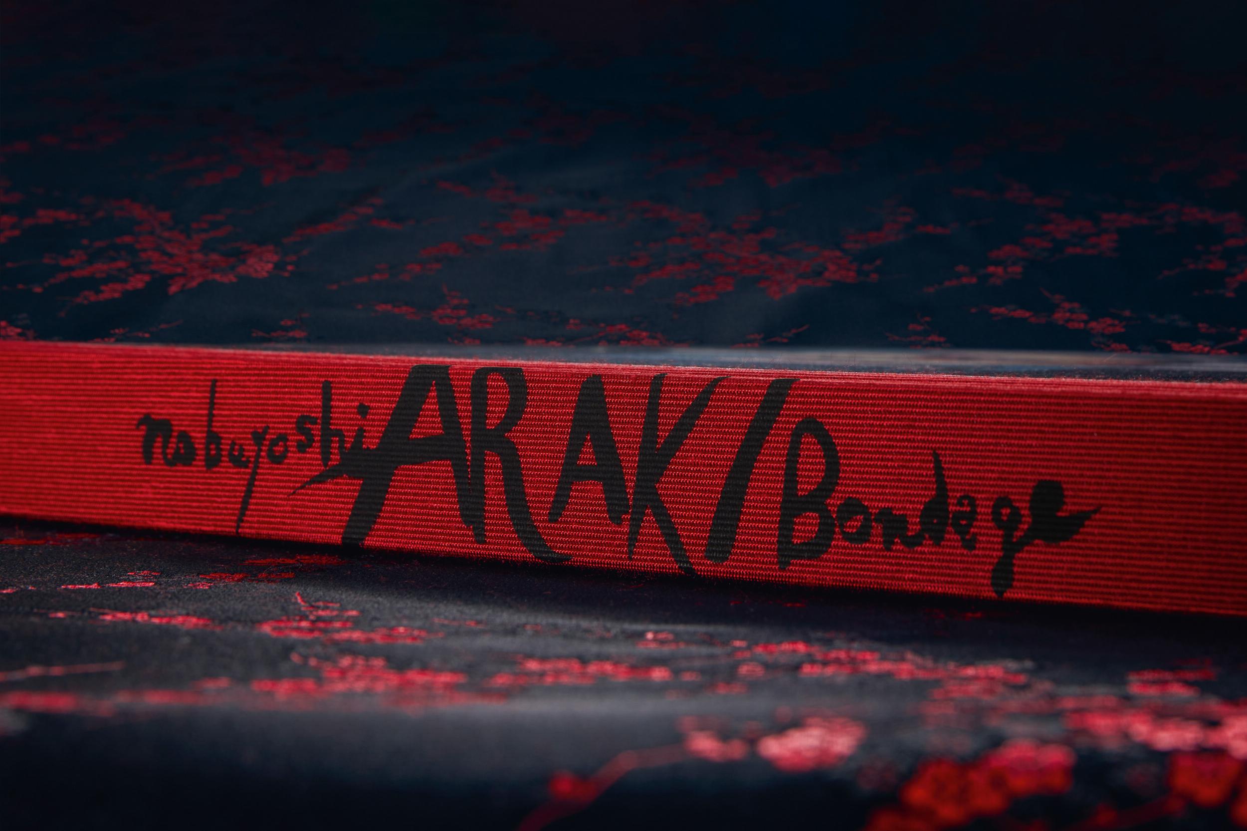 Araki. Bondage (English) - grainoverpixel