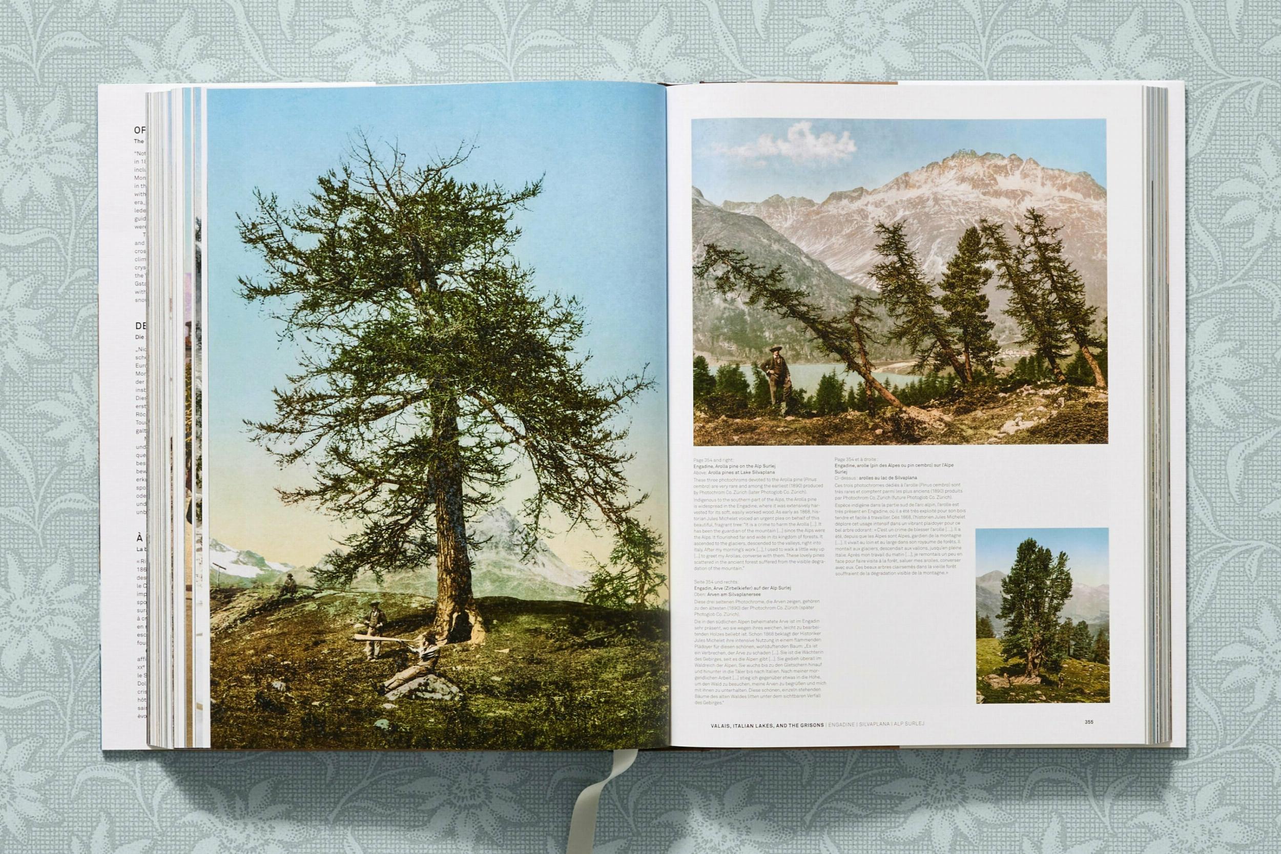 The Alps 1900. A Portrait in Color (English) - grainoverpixel