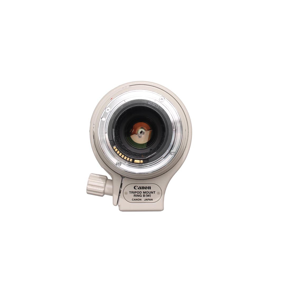 Canon Zoom Lens EF 100 - 400mm f4.5 - 5.6 L IS Ultrasonic - grainoverpixel