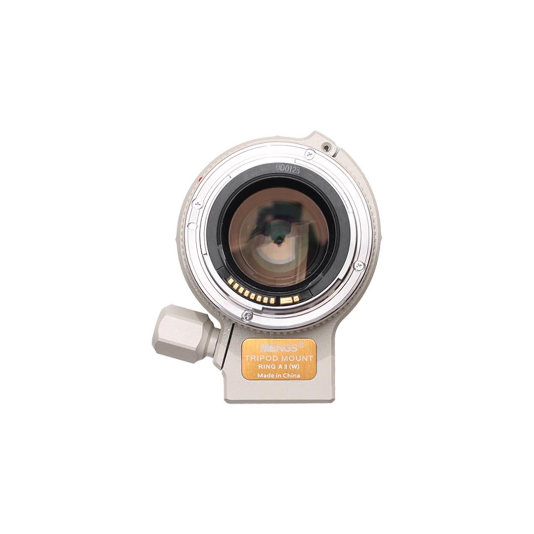 Canon Zoom Lens EF 70 - 200 f4 L USM - grainoverpixel