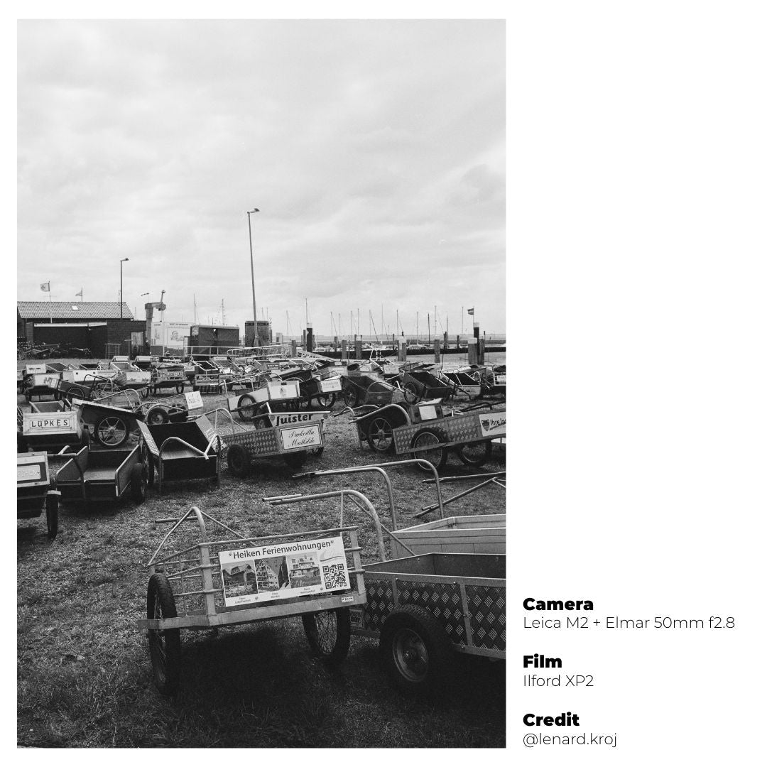 Ilford XP2 400 - 36 Exp. - grainoverpixel