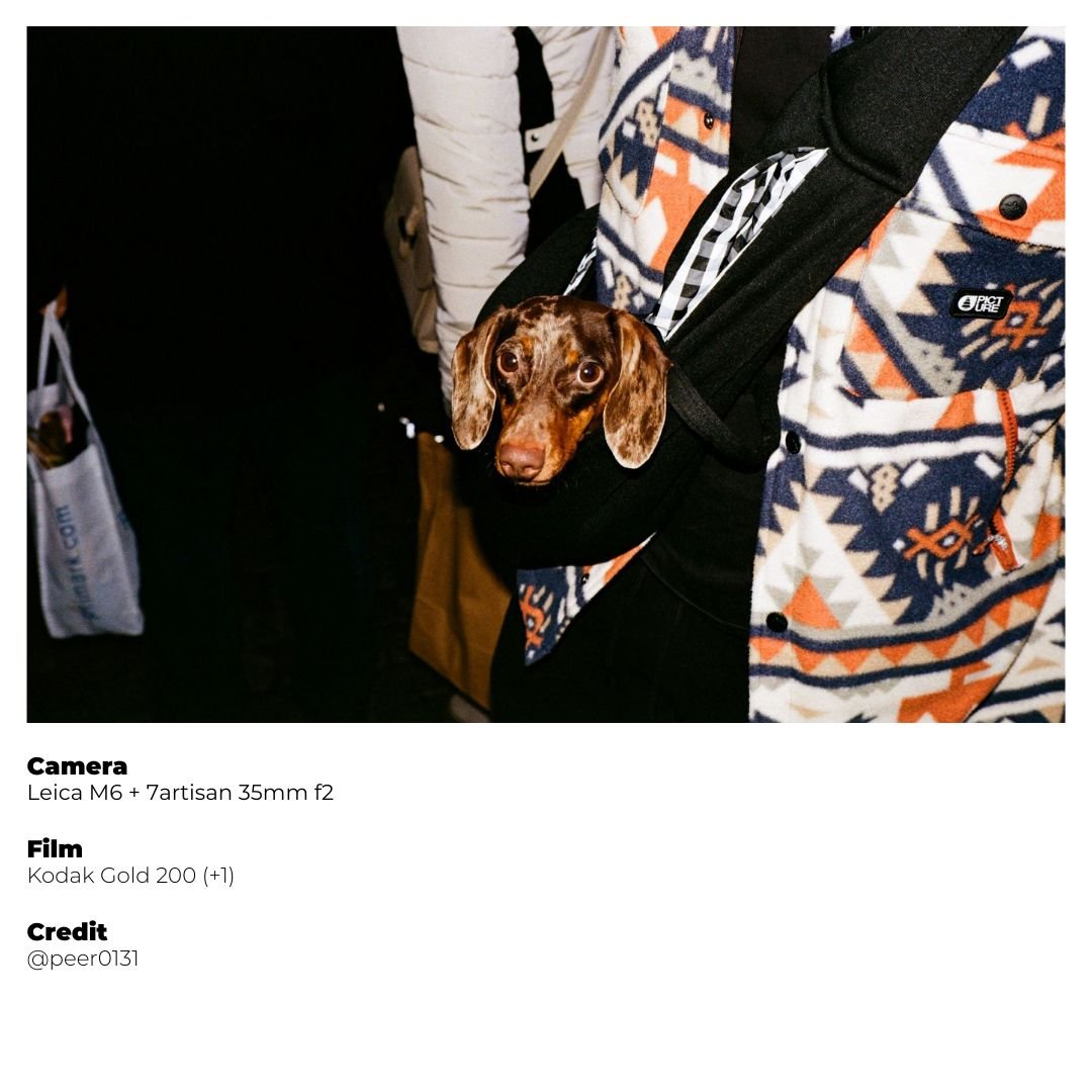 Kodak GOLD 200 - 36 Exp. - grainoverpixel