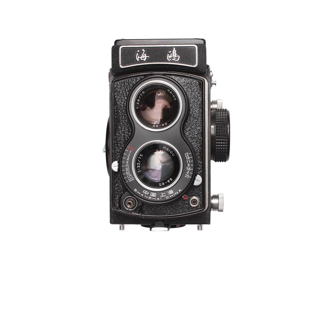 Seagul 4A - grainoverpixel