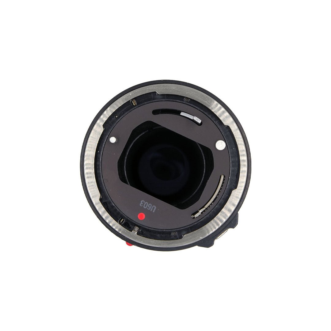 Canon Zoom Lens FD 100-200mm f5.6 - grainoverpixel